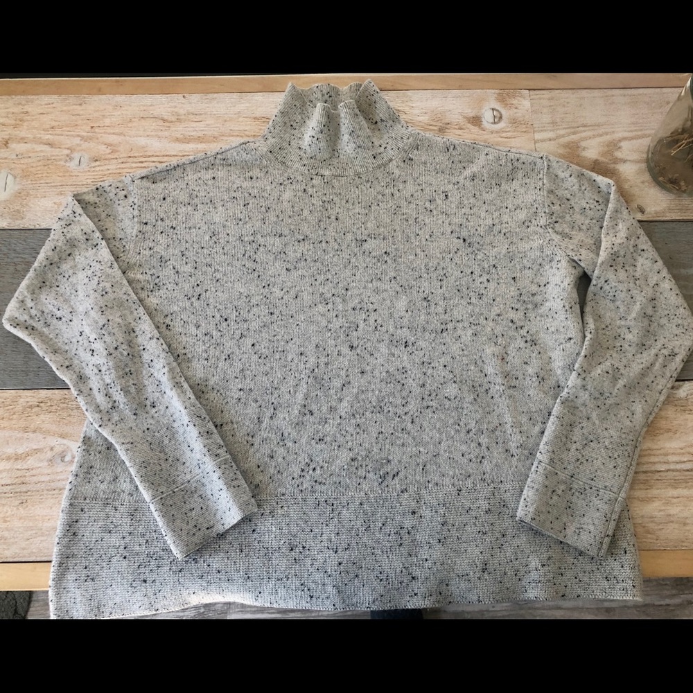 Everlane Square Turtleneck Sweater